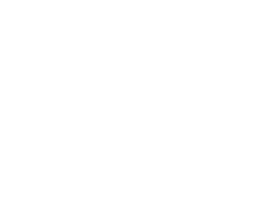 Transparent wording choices image icon