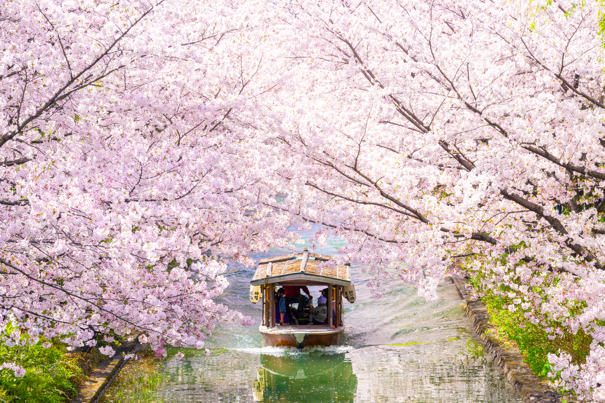 ヒーローイメージ3